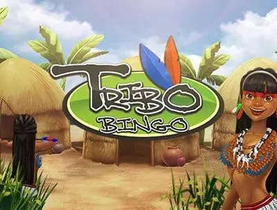 Find out how to play Tribo Bingo online