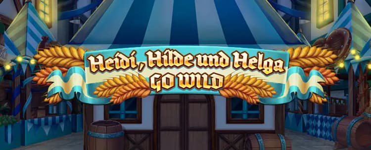 Heidi, Hilde und Helga Go Wild
