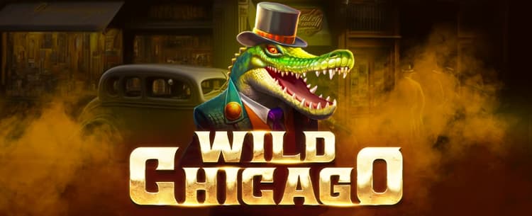 Play Wild Chicago