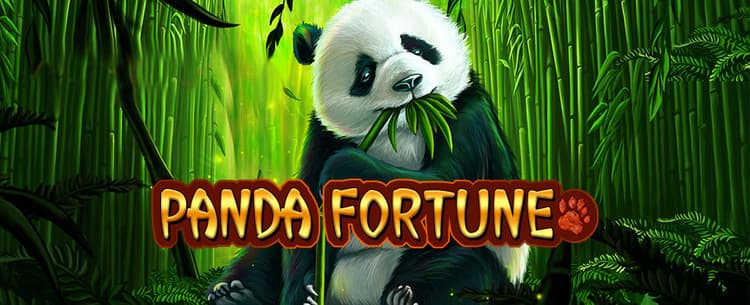 Panda Fortune